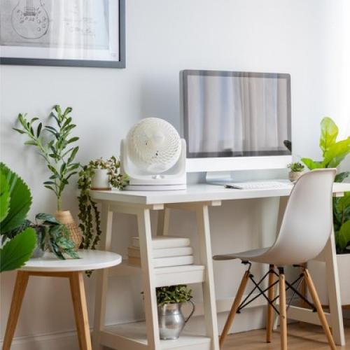 IRIS WOOZOO Oscillating Air Circulator Fan, White