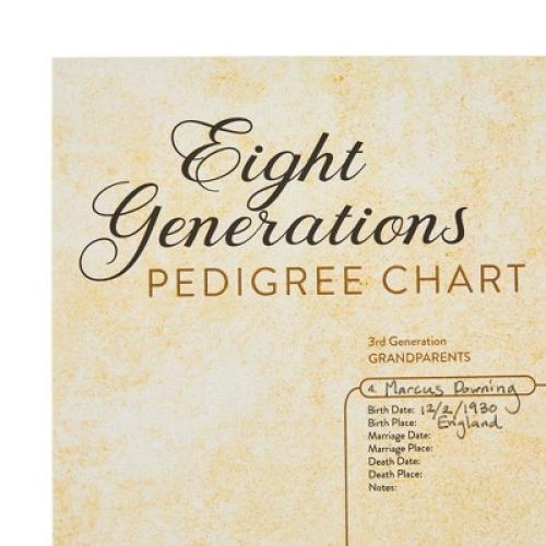 Okuna Outpost 15 Pack Family Tree Charts to Fill In, Blank Eight Generation Genealogy Poster, 17 x 22 In