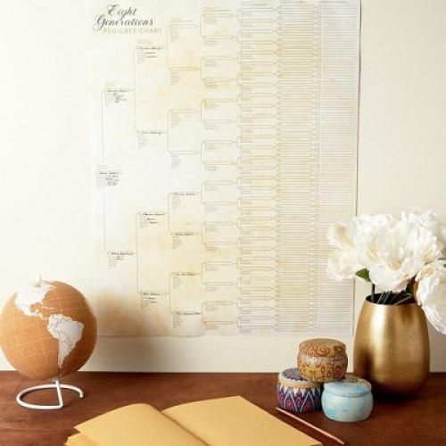 Okuna Outpost 15 Pack Family Tree Charts to Fill In, Blank Eight Generation Genealogy Poster, 17 x 22 In