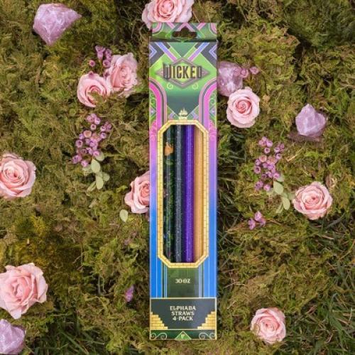 CharCharms (2) 4pk 30oz Water Bottle Straws Wicked 2 Elphaba