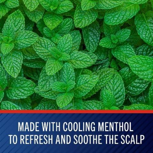 Selsun Blue Medicated with Menthol Dandruff Shampoo - 11 fl oz