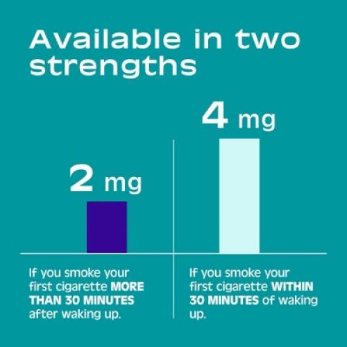 Mint 81 Count Nicorette 2mg Stop Smoking Aid Nicotine Mini Lozenge