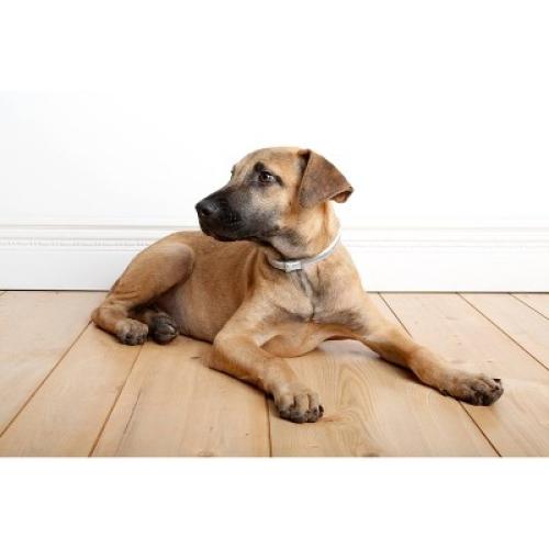 Hartz Ultra Guard Flea & Tick Collar Pet Insect Prevention - 26 - 1ct