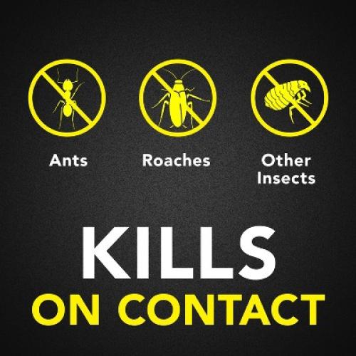 Raid Ant and Roach Killer Bug Spray Unscented - 2ct/20oz each 2 Pack