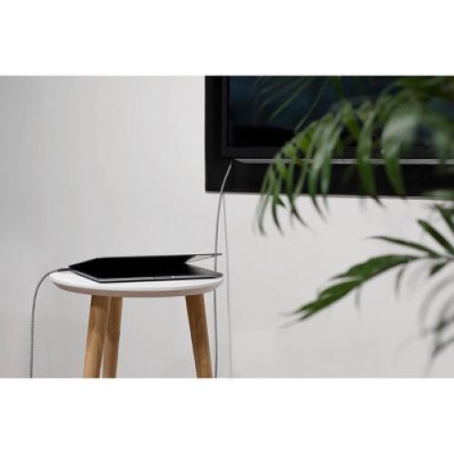 Native Union Belt XL 10' Braided USB-C to HDMI Cable - Zebra