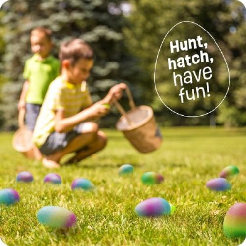 Dan&Darci Unicorn Hatching Easter Eggs - Set of 6 Magical Hatch and Grow Unicorn Toys- Stocking Stuffer for Kids, Gifts for Kids