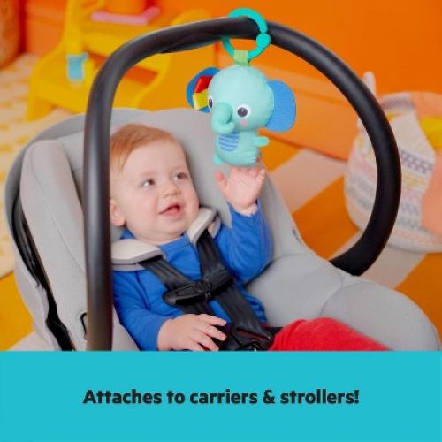 Bright Starts Wild Wiggles Baby Activity Gym & Machine-Washable Play Mat - Green