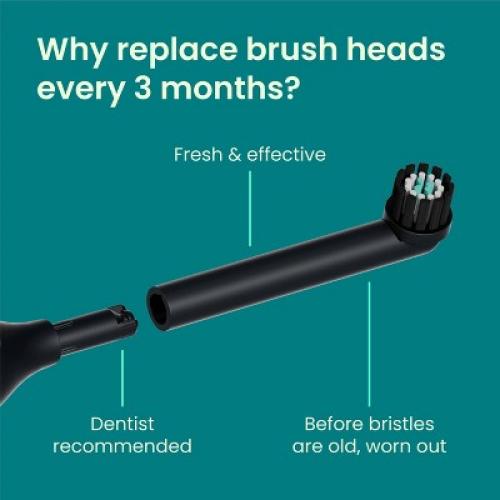 quip 360 Oscillating Brush Head Refill - 2pk