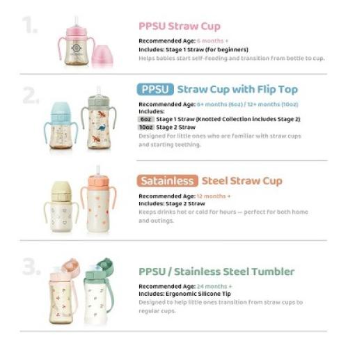Grosmimi Stainless Steel Straw Cup with Flip Top - 6oz (12 Months ) Air Balloon Blue 6oz