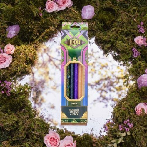 CharCharms 4pk 20oz Water Bottles Straws Wicked 2 Elphaba