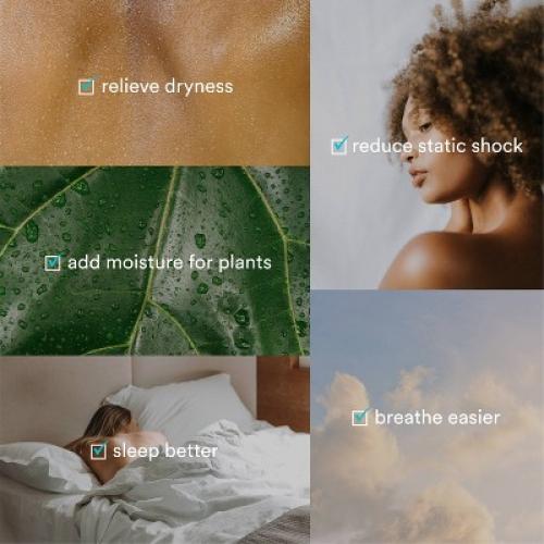 HoMedics Top-Fill Easy to Clean Ultrasonic Cool Mist Humidifier with Night Light and Aromatherapy: 300-500 sq. ft., No Filter Needed, 30-Hour Run Time