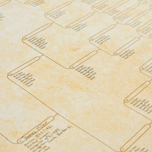 Okuna Outpost 15 Pack Family Tree Charts to Fill In, Blank Eight Generation Genealogy Poster, 17 x 22 In