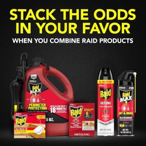 Raid Ant and Roach Killer Bug Spray Unscented - 2ct/20oz each 2 Pack