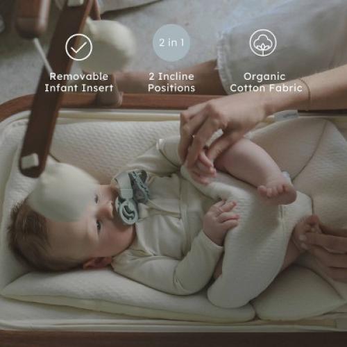 Snuggle Me Baby Bouncer and Rocker - Walnut Brown