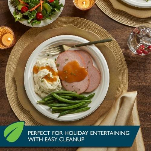 Hefty EcoSave Molded Fiber 8 3/4 Plates - 22ct 4pk
