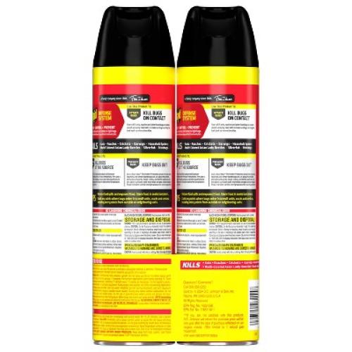 Raid Ant and Roach Killer Bug Spray Unscented - 2ct/20oz each 2 Pack