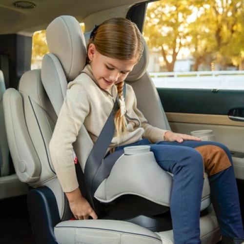 Maxi-Cosi Pria Convertible Car Seat - Blackened Pearl