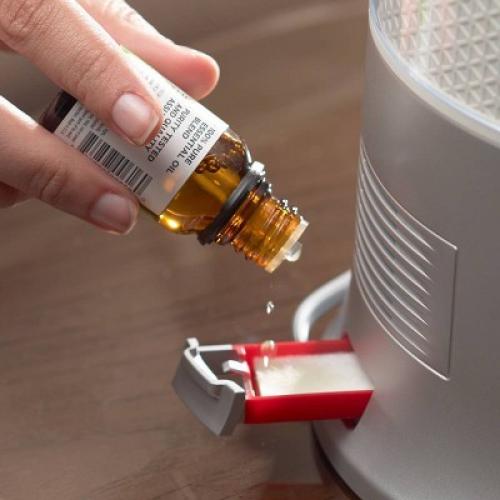 Honeywell Designer Series Cool Mist Humidifier HUL430