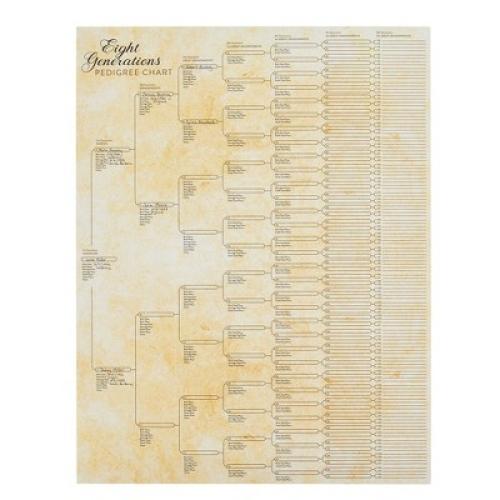 Okuna Outpost 15 Pack Family Tree Charts to Fill In, Blank Eight Generation Genealogy Poster, 17 x 22 In