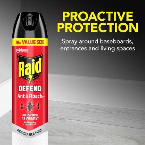 Raid Ant and Roach Killer Bug Spray Unscented - 2ct/20oz each 2 Pack
