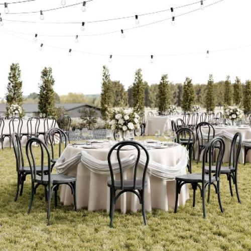 Color Black Flash Furniture HERCULES Commercial Black Indoor/Outdoor Wood Look Resin Thonet Style Chair