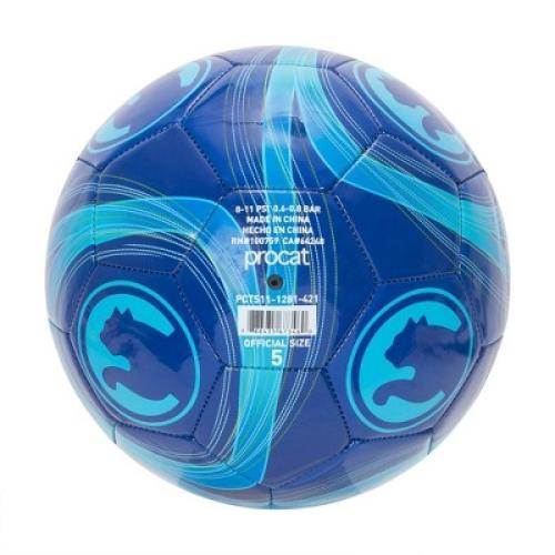 ProCat by Puma Cyclone Size 5 Sports Ball - Blue