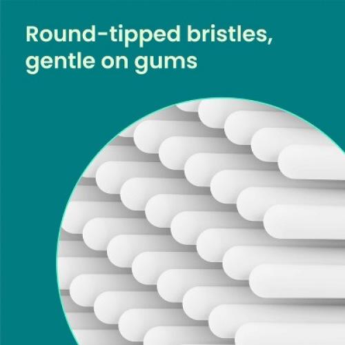 quip 360 Oscillating Brush Head Refill - 2pk