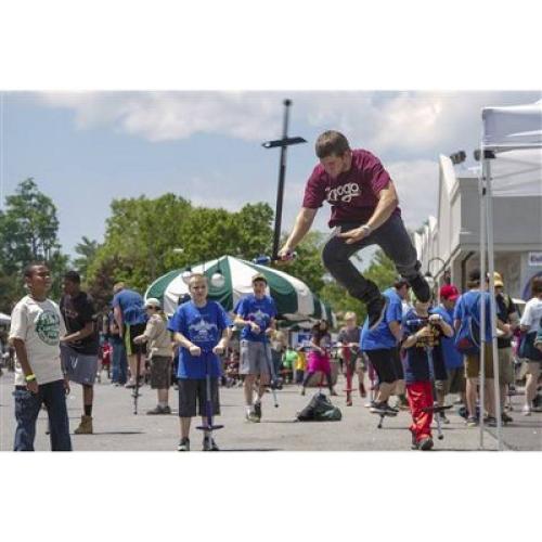 NSG Pogo Flight PG102B