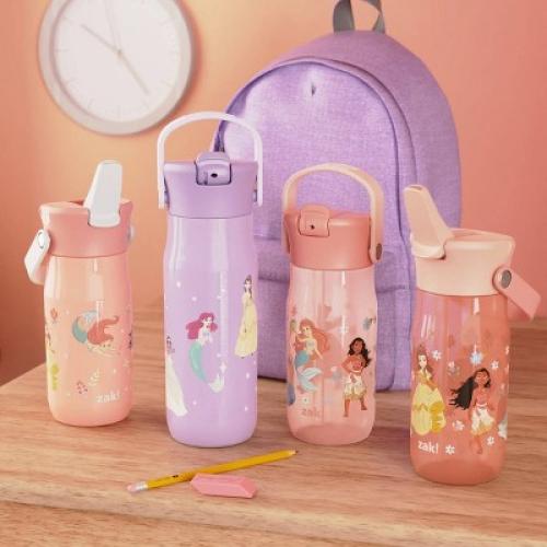 Zak Designs 14oz Princess Stainless Steel Vacuum Harmony Straw Water Bottle Purple