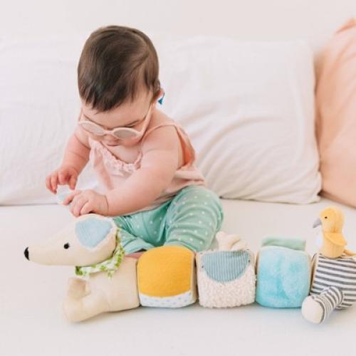 Wonder & Wise Magnetic Pull Apart Pup