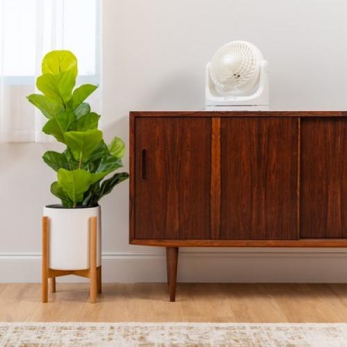 IRIS WOOZOO Oscillating Air Circulator Fan, White