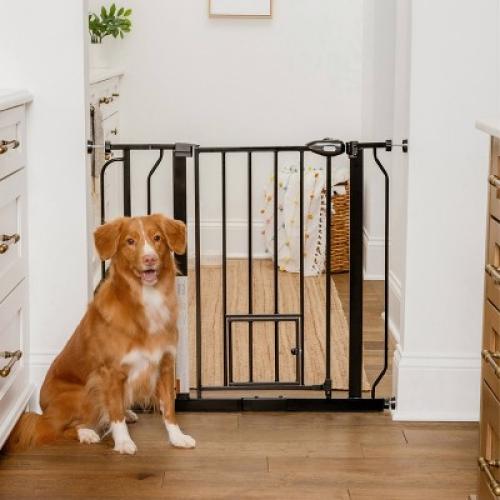 Carlson Pet Extra Wide Gate with Pet Door - Black