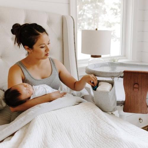 HALO Innovations BassiNest Swivel Sleeper Luxe - Dove Gray Tweed