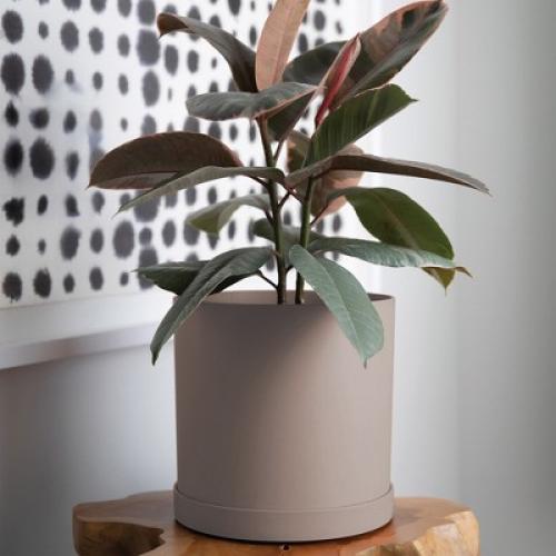 Bloem 12 Mathers Round Planter With Saucer Tray, Pebble Stone