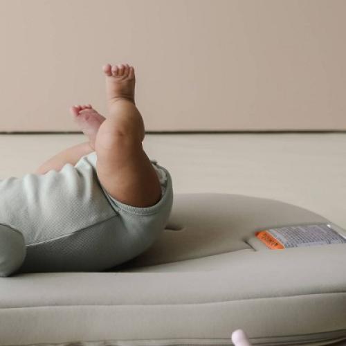 Snuggle Me Organic Curve Infant Lounger - Birch
