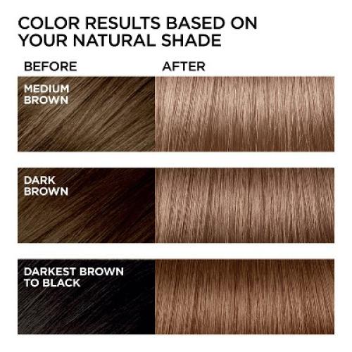 L'Oreal Paris Feria Multi-Faceted Shimmering Color - B61 Hi-Lift Cool Brown - 1 Kit