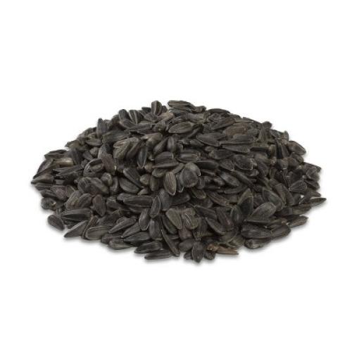 Audubon Park 10lb Black Oil Sunflower Wild Bird Food: Energy-Rich, Easy-to-Open Seeds, Attracts Variety