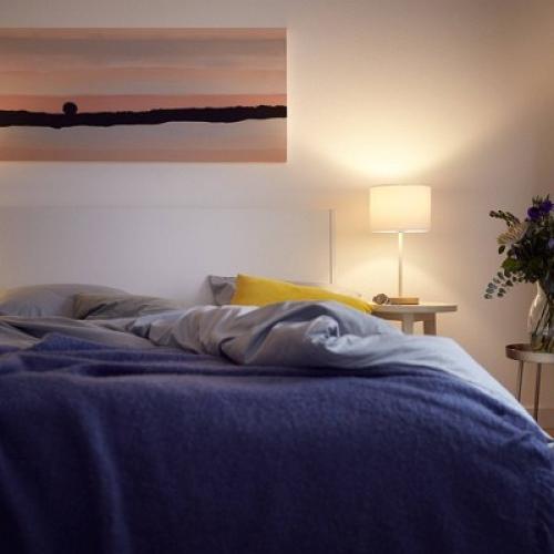 Philips LED 75W Frosted Daylight A19 8-Pack (Non-T20)