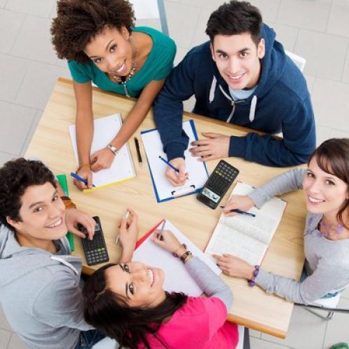 Casio FX-300 Scientific Calculator - Black