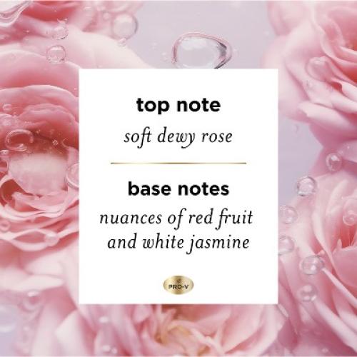 Pantene Sulfate Free Rose Water Shampoo and Conditioner Dual Pack, Nutrient Blends - 17.6 fl oz