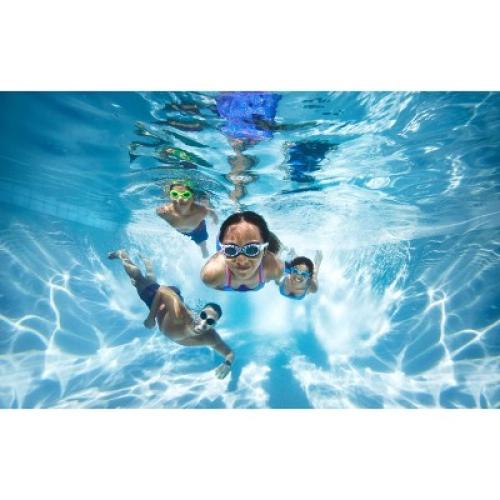 Speedo Adult Seaside Swim Goggles - Black/Gray