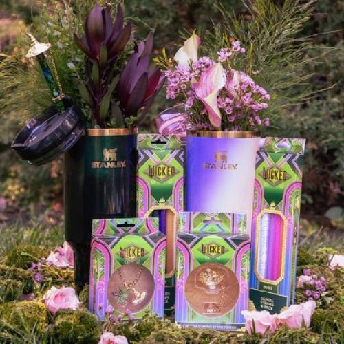 CharCharms 4pk 30oz Water Bottle Straws Wicked 2 Glinda