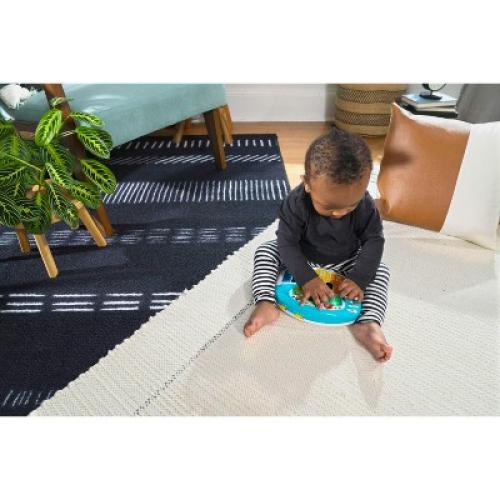 Baby Einstein Discover and Play Piano