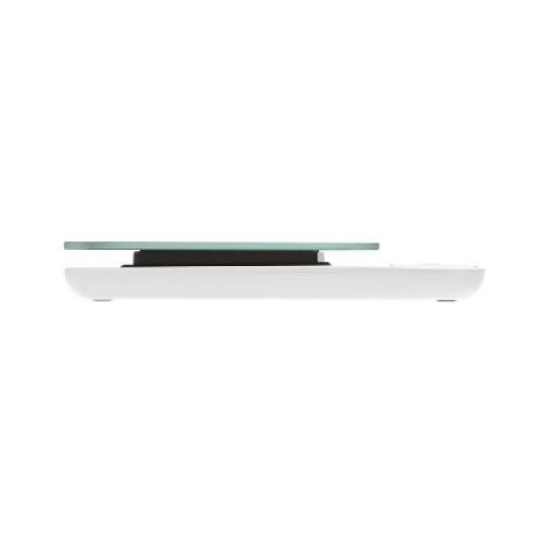 Taylor Digital 11lb Glass Top Food Scale - Silver