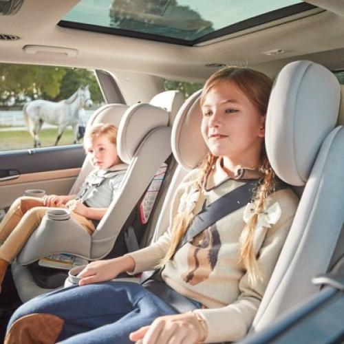 Maxi-Cosi Pria Convertible Car Seat - Blackened Pearl