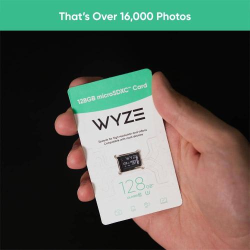 128 GB MicroSD Card