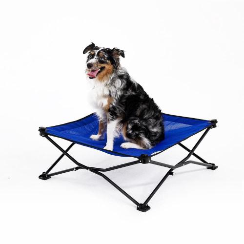 On the Go Elevated Pet Bed, Medium, Aquatic Blue