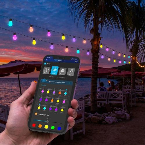 15-Bulbs 48 ft. Outdoor Plug-In LED Input Edison Bulb String Light