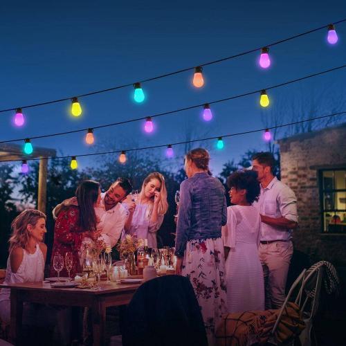 15-Bulbs 48 ft. Outdoor Plug-In LED Input Edison Bulb String Light