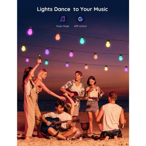 15-Bulbs 48 ft. Outdoor Plug-In LED Input Edison Bulb String Light